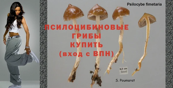 круглые Абаза