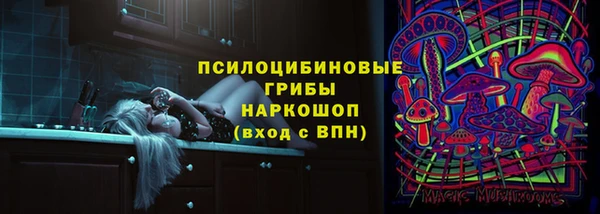 круглые Абаза