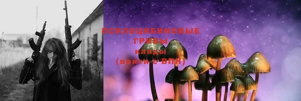 PSILOCYBIN Абинск