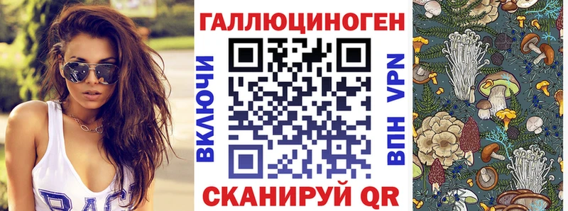 mega tor  дарк нет как зайти  Ряжск  Псилоцибиновые грибы Cubensis  что такое  