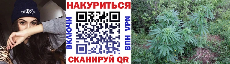 KRAKEN как зайти Ряжск дарк нет телеграм сколько стоит Бошки Шишки Bruce Banner